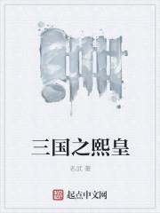 三国之熙皇