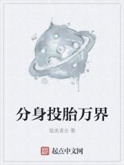 分身投胎万界