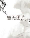 海贼之绝对正义