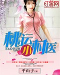 契婚：总裁的替身娇妻