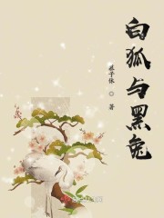 圣手