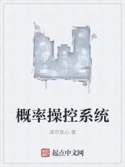 概率操控系统