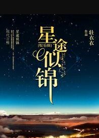 星途似锦