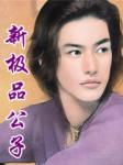 新极品公子