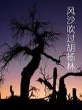 风沙吹过胡杨林