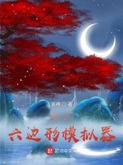 我的六边形模拟器