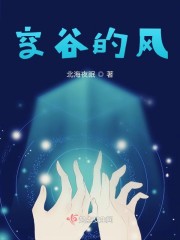 空谷的风