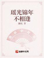 瑶光锦年不相逢