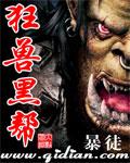 狂兽11