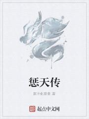 惩天传