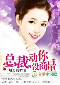 总裁，动你没商量