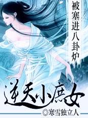 被塞进八卦炉：逆天小淑女
