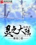 异界之灵之大陆